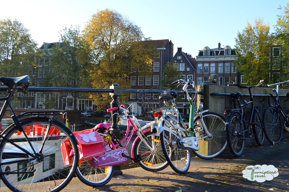 Cycling through Amsterdam: Colourful bikes sit by the canal