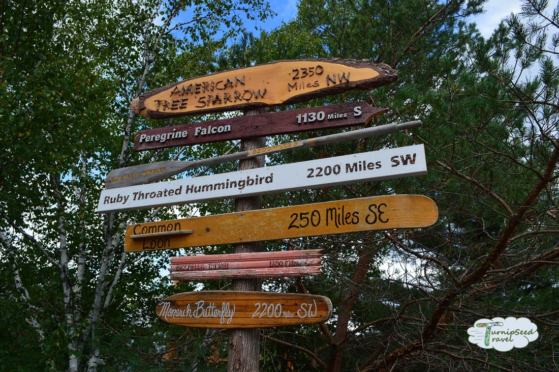 Sign posts in a New York park Picture
