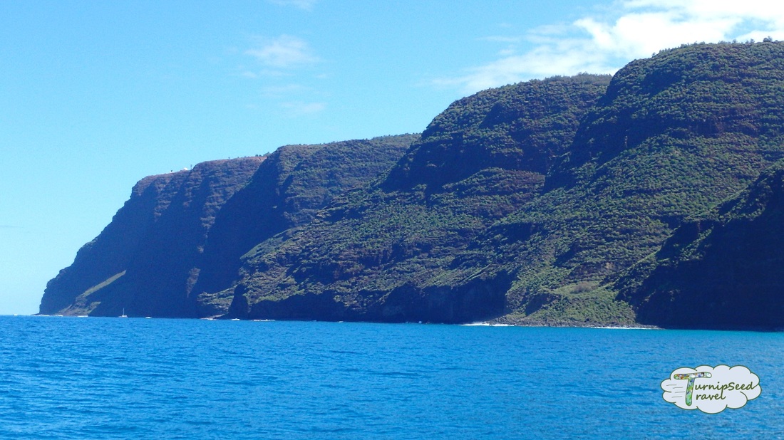 Holo Holo Snorkel Sail Tour Kauai 