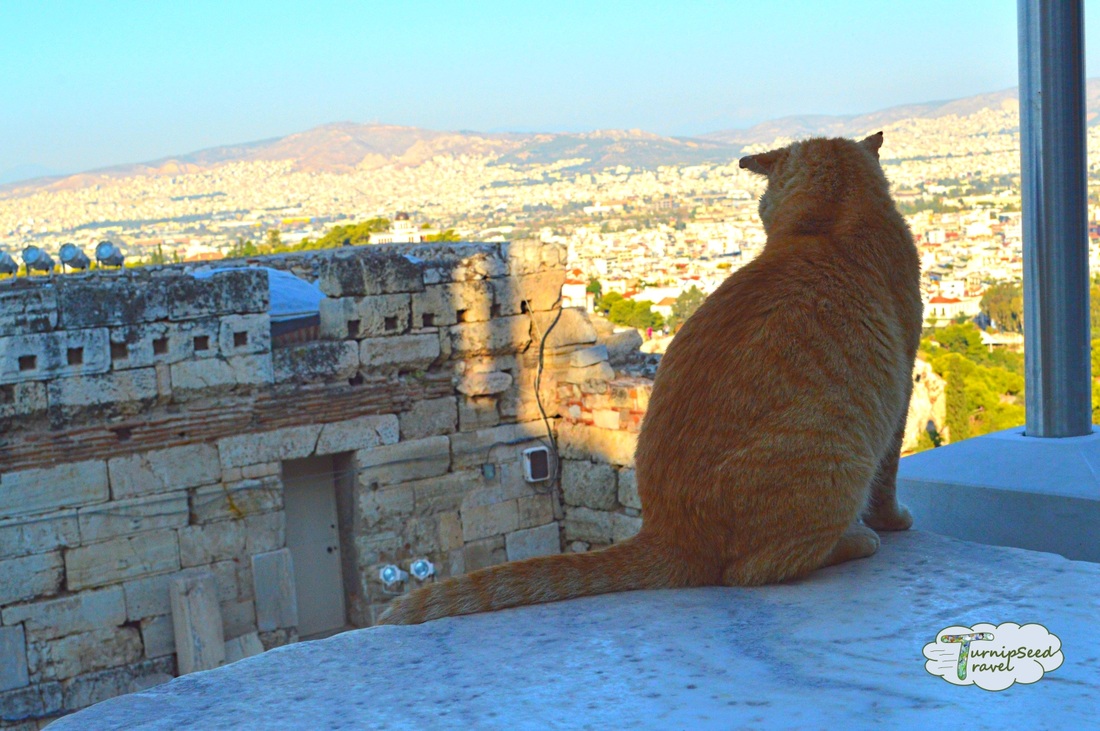 Hostels Athens - touring the Acropolis. Picture