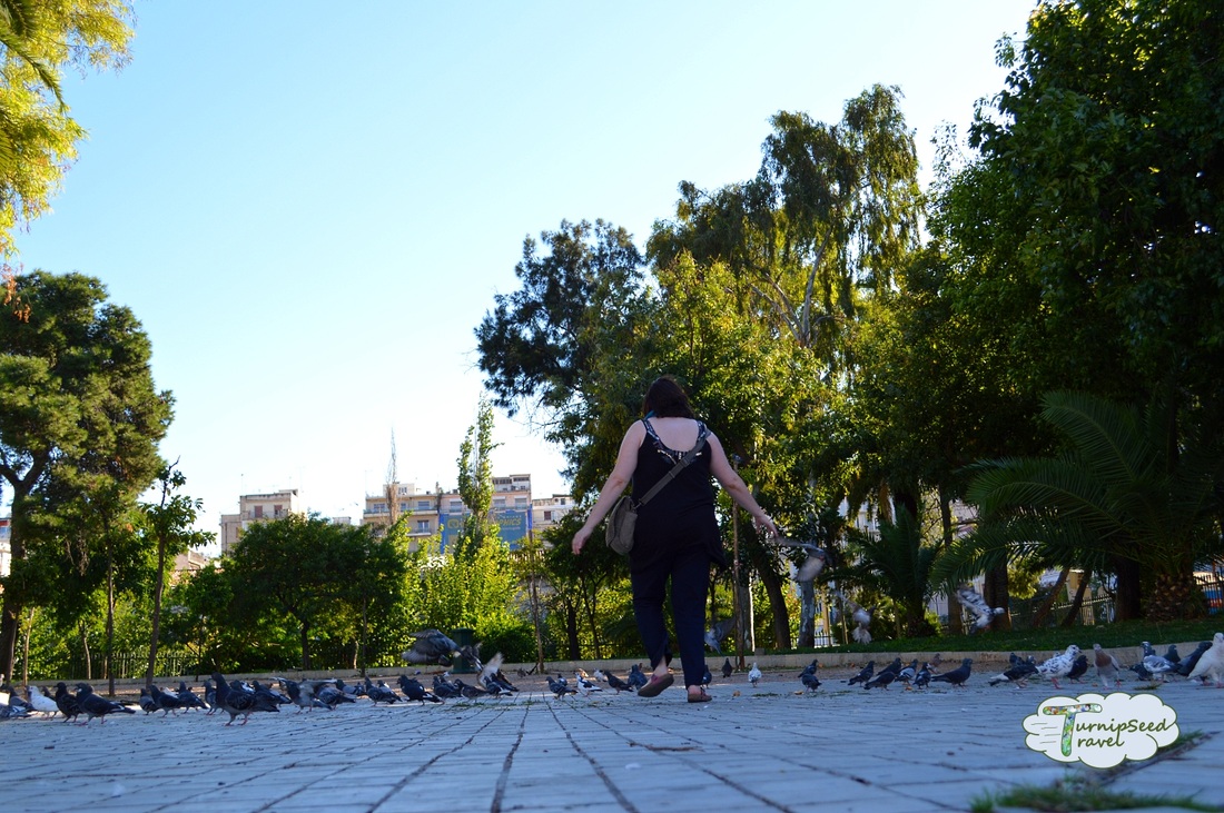 Throw-away packing and disposable clothing for travel? Close - it's throw away packing! Pictured - Vanessa chases pigeons in Athens. Picture