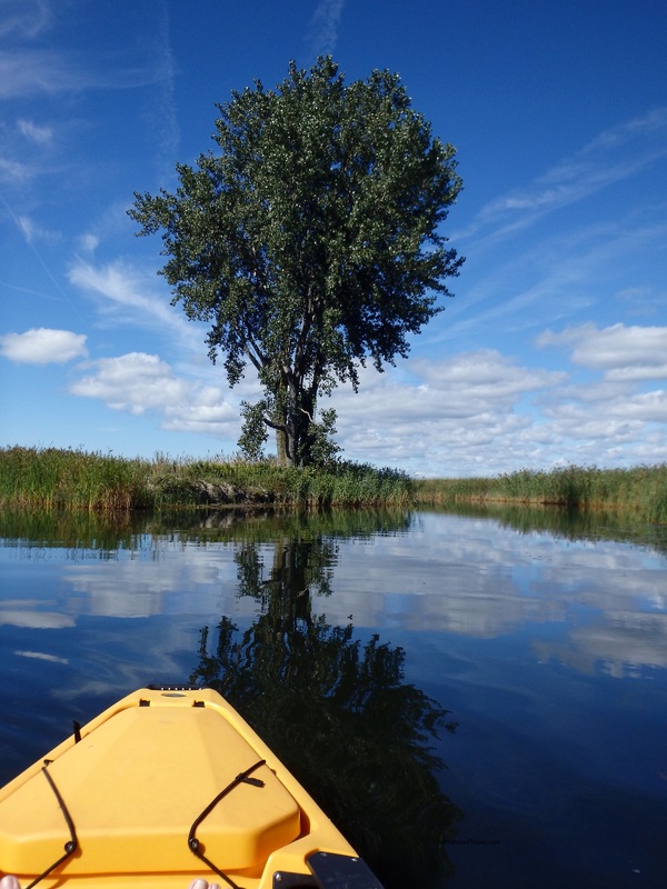 Baer Kayak Fishing Long Point Eco Adventure Lake Erie Norfolk County Ontario TurnipseedTravel.com