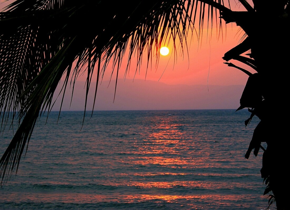 Bright pink and orange sky over the lake as the sun sets, with palm branches in the foreground.Picture