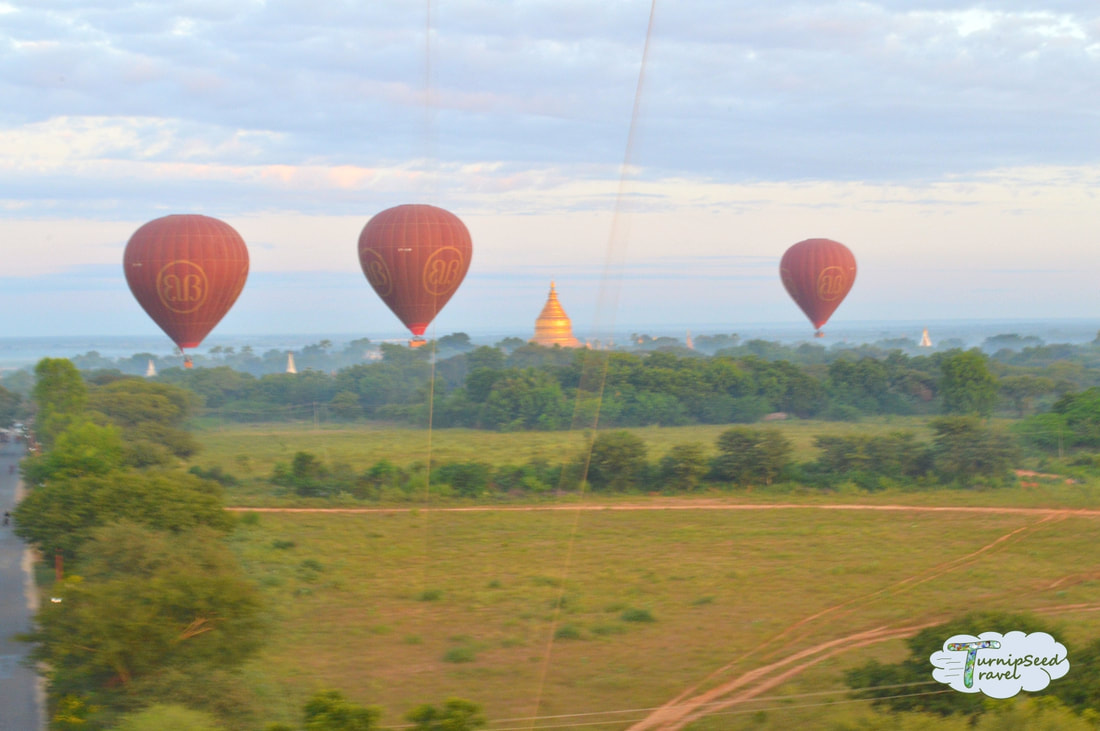 Hot air balloons over a green field in Bagan