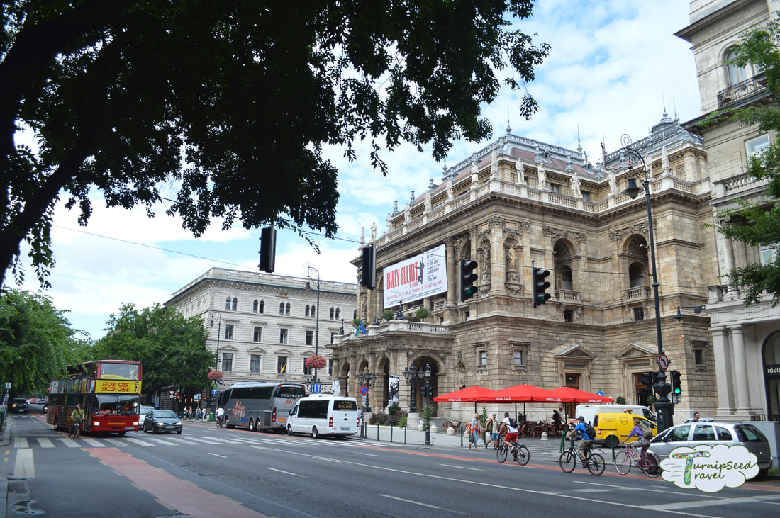 Hungarian State Opera House Picture