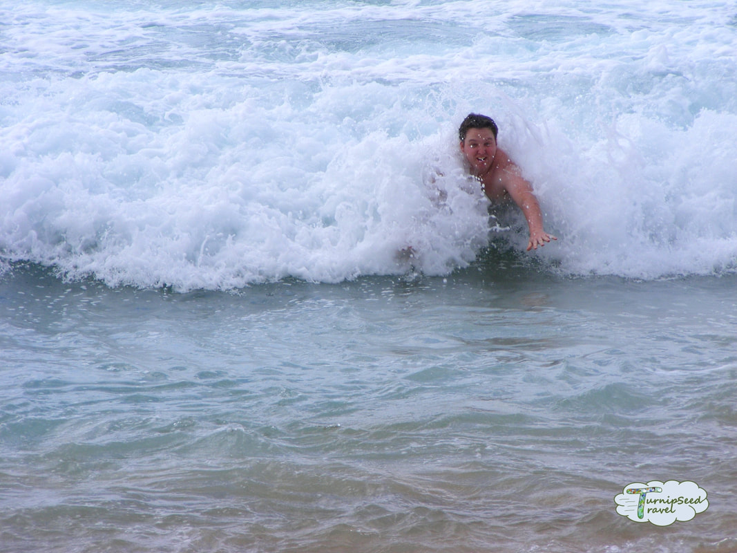 Surfing North Shore Oahu Hawaii Picture