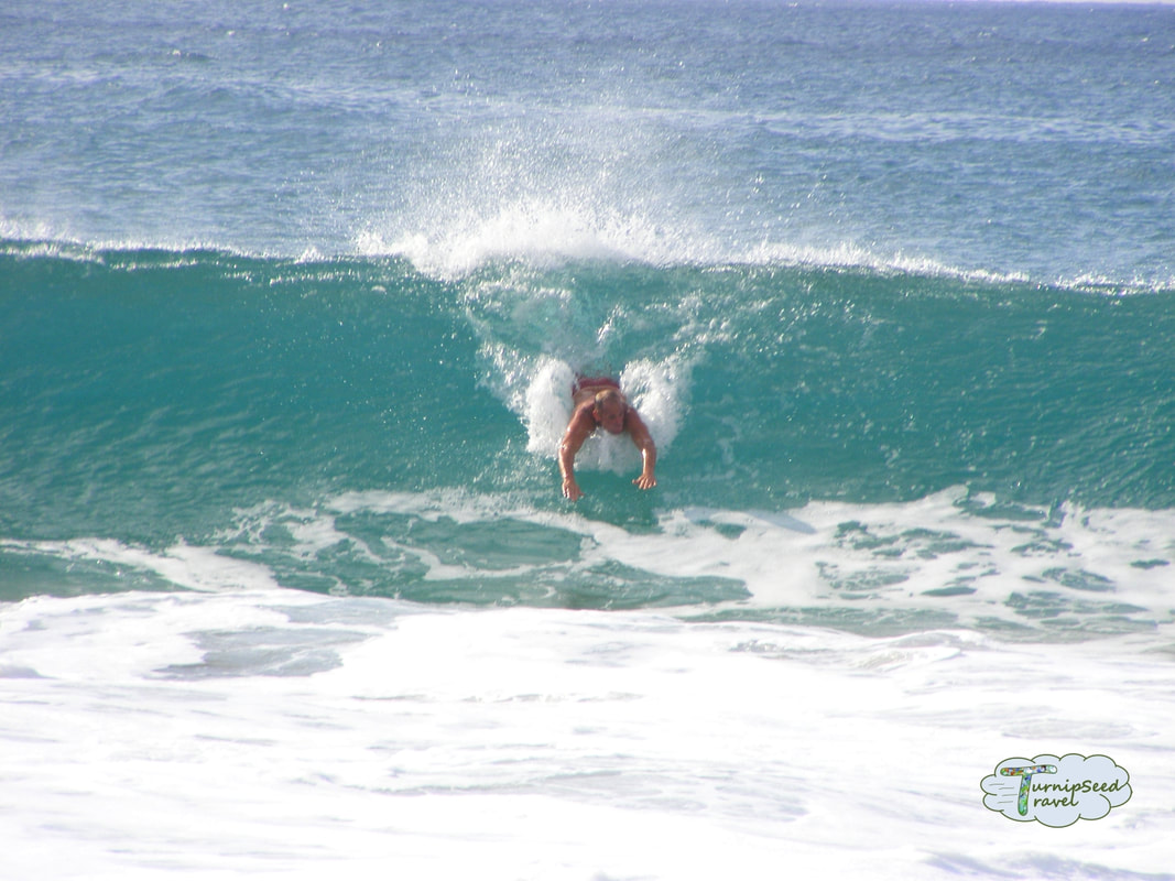 Surfing North Shore Oahu Hawaii Picture