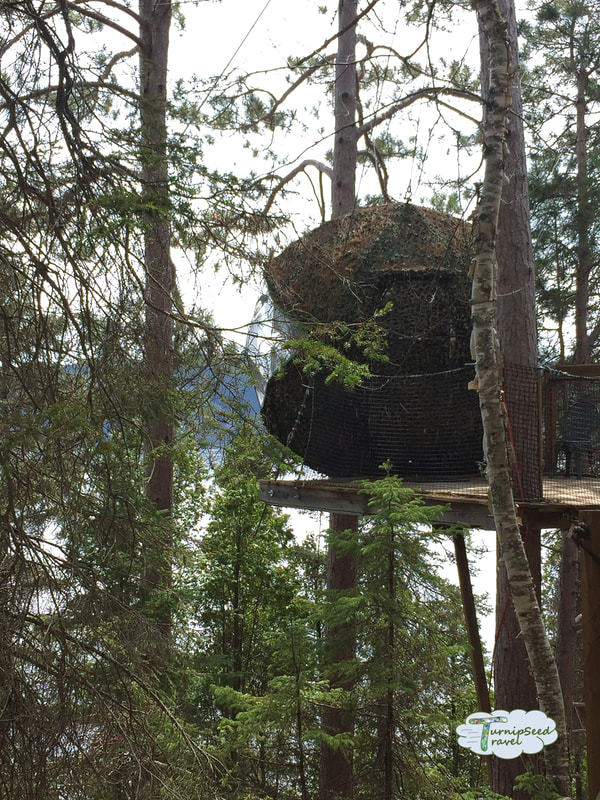 Tree house accommodations Saguenay Picture
