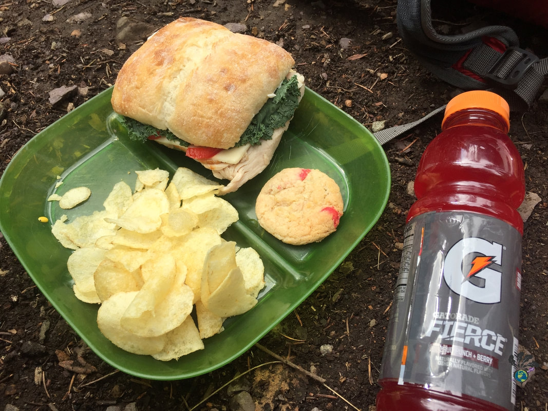 Green picnic plate with sandwich chips and cookies Picture