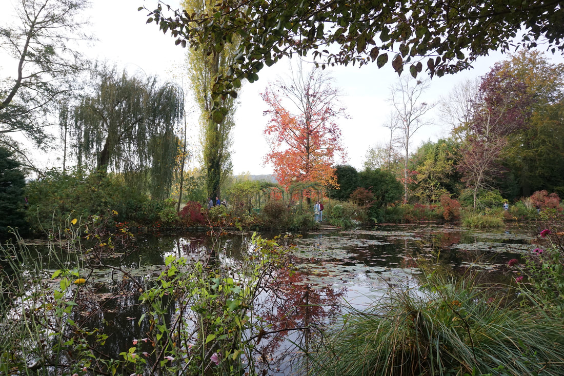 Monet's water lily pond with willow trees and shrubbery