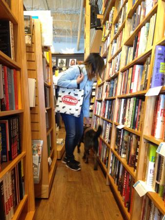 Woman and her dog look at books in a narrow walkway between bookshelvesPicture