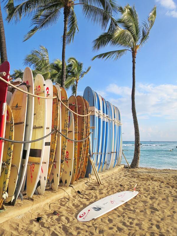 Surf boards and palm trees on Waikiki beach