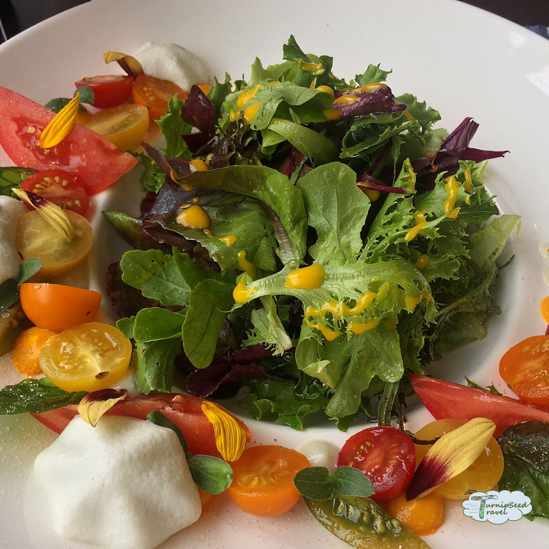 Salad with heirloom tomatoes and crispy basil leaves. 