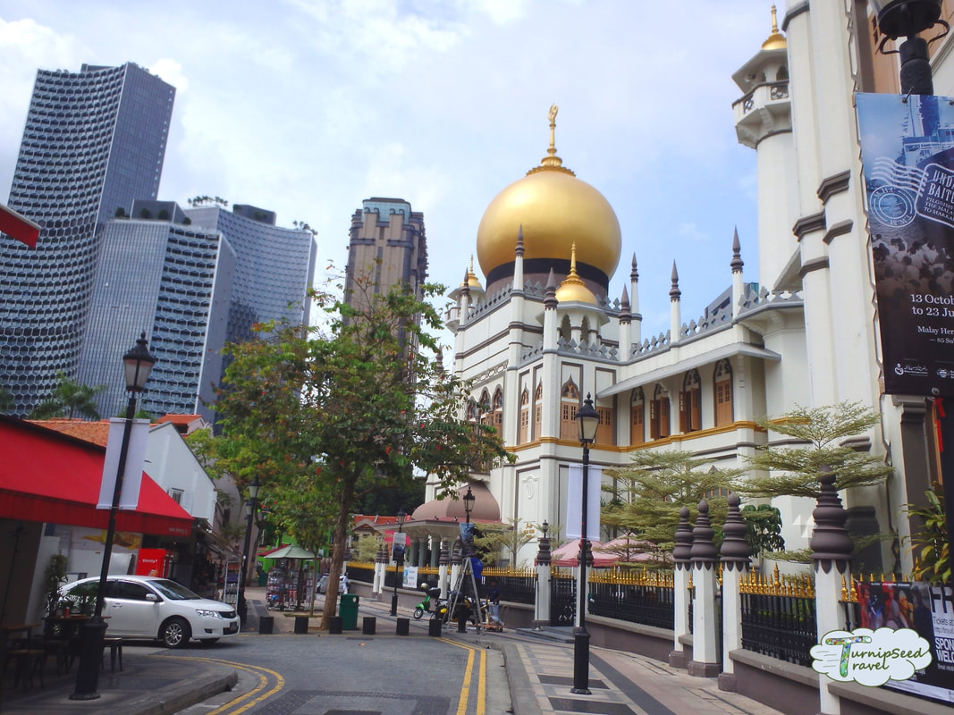 Cultural buildings and temples next to high rise buildings in Singapore 