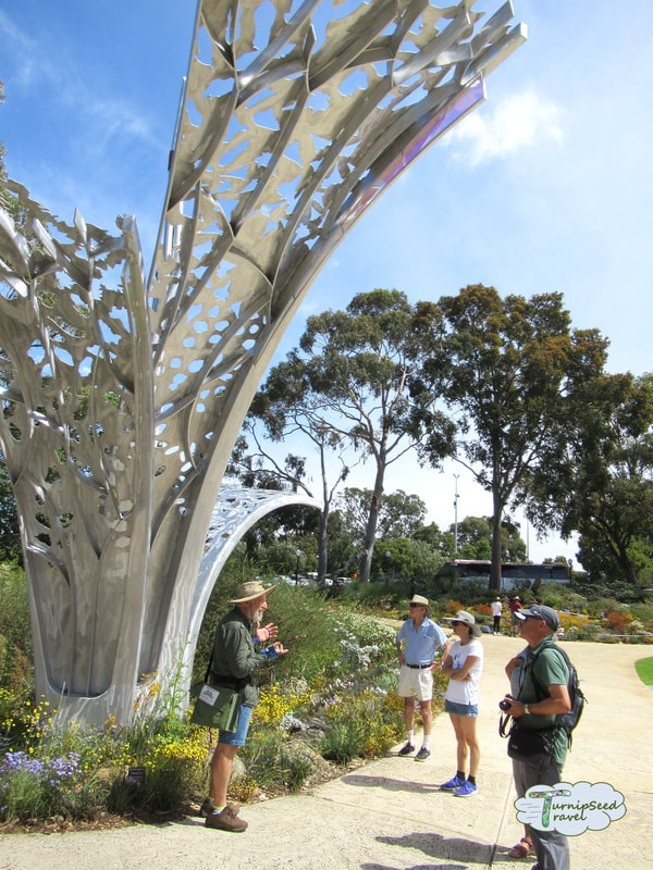 Silver sculpture in Kings Park Botanic Garden 