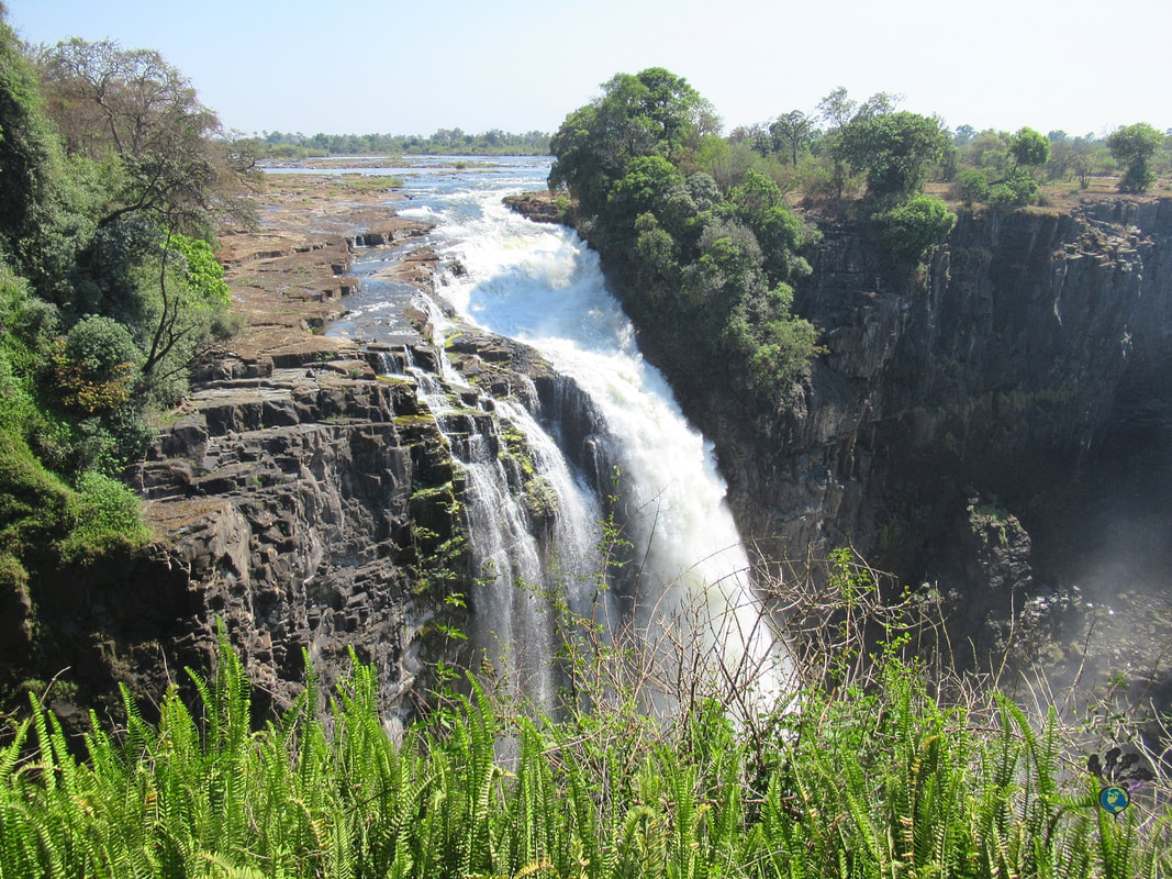 Victoria Falls waterfalls with green ferns in the foreground Picture