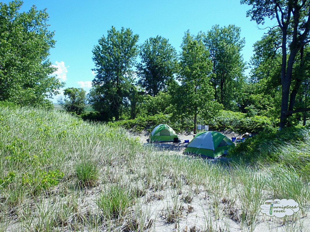 Long Point Provincial Park camping - tents among the sand dunes. Picture