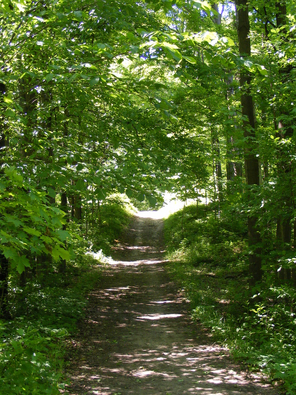 Albion Hills Conservation Site Ontario www.turnipseedtravel.com