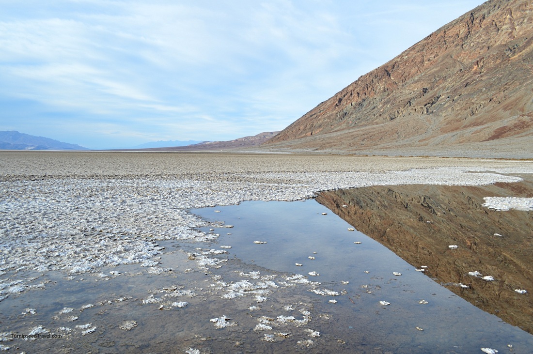 Salt crystals on the water at Badlands Basin.