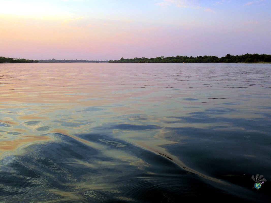 Sunset on the Zambezi River with a pink sky and calm waters
