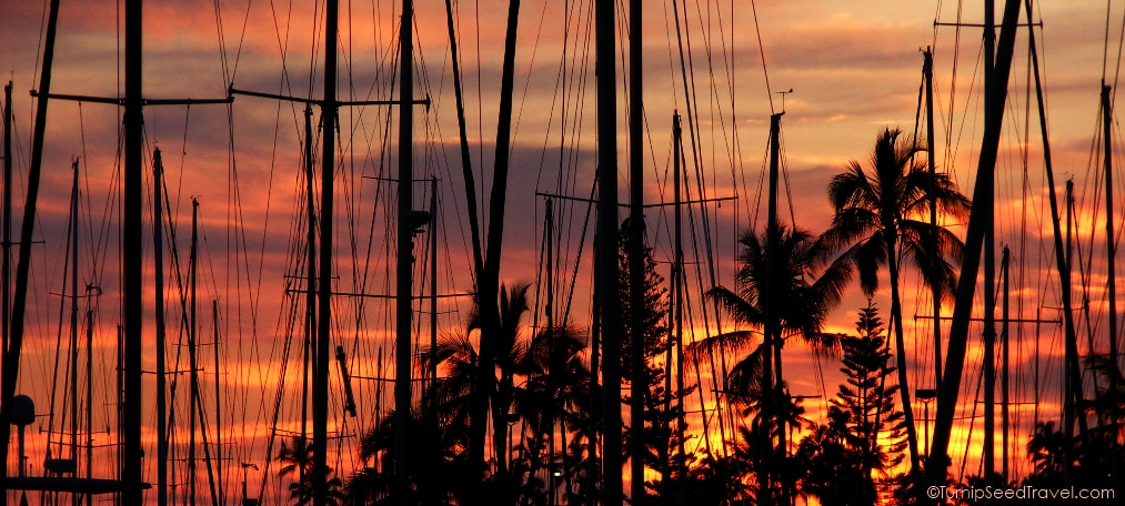 Sail boat masts as seen at sunset.