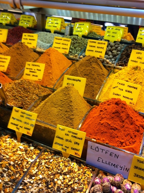 Spice Market Egyptian Istanbul Turkey TurnipseedTravel.com