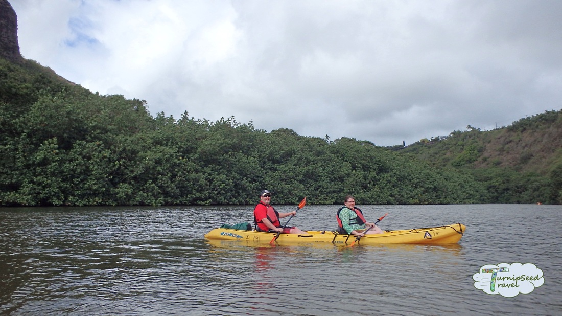 Kayak Kauai 3 hour tour paddle and swim