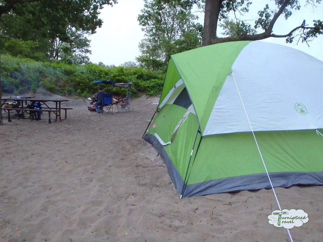 Turtle Dunes Campground: Long Point Provincial Park Camping Picture