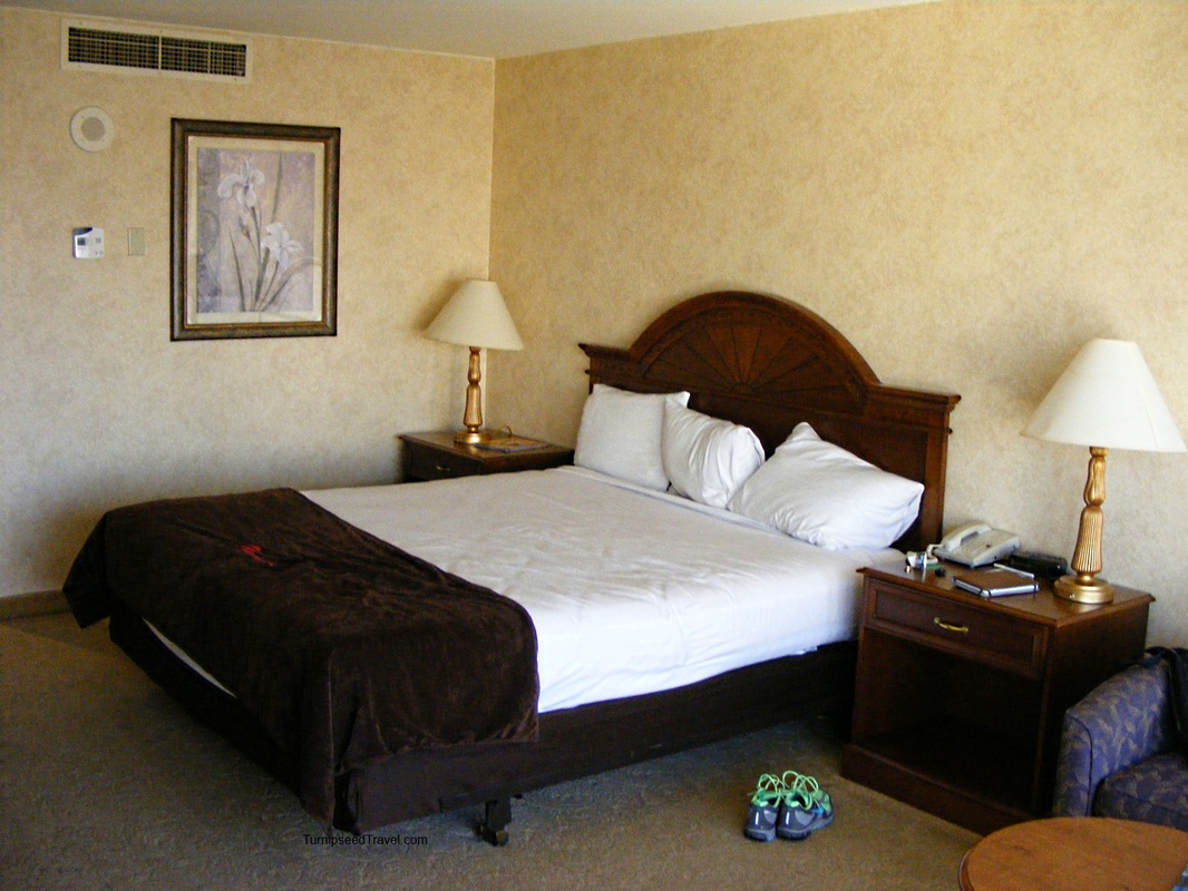 How to evaluate a hotel Finding great hotel deals Vegas Flamingo reviews TurnipseedTravel.com