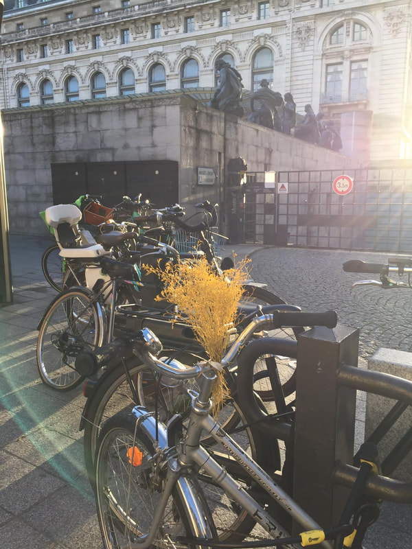 Sunbeams hit a row of bicycles, one of which has a bouquet of yellow dried flowers at its handles.