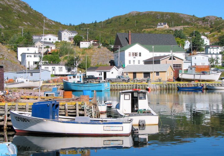 Colourful boats in the harbour of a small village: Travelling to Newfoundland