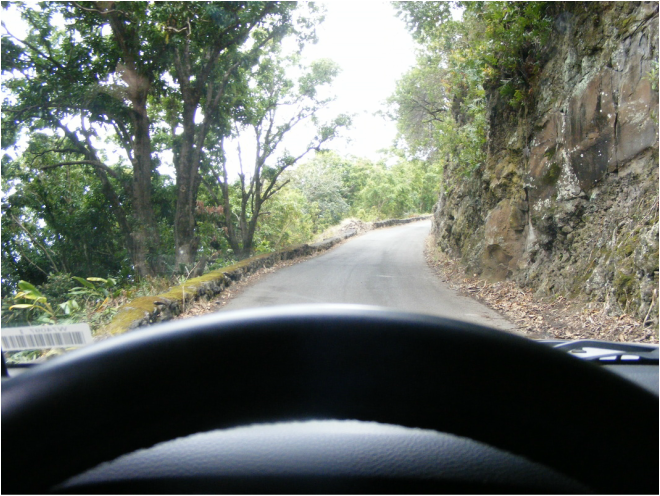Hana Highway roadtrip: View from the dashboard