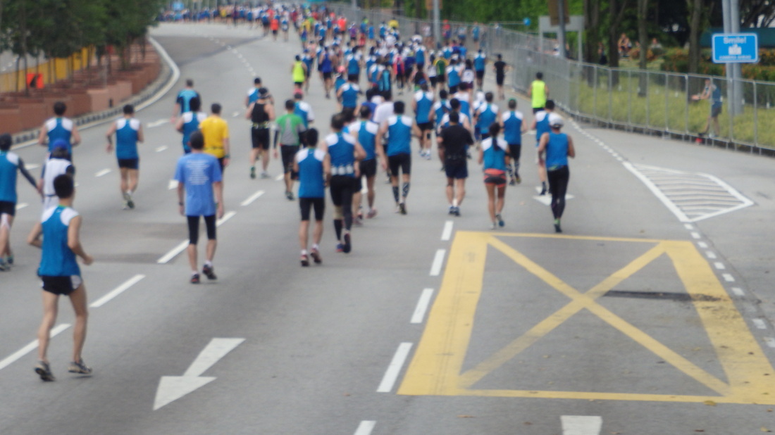 Singapore Marathon TurnipseedTravel.com