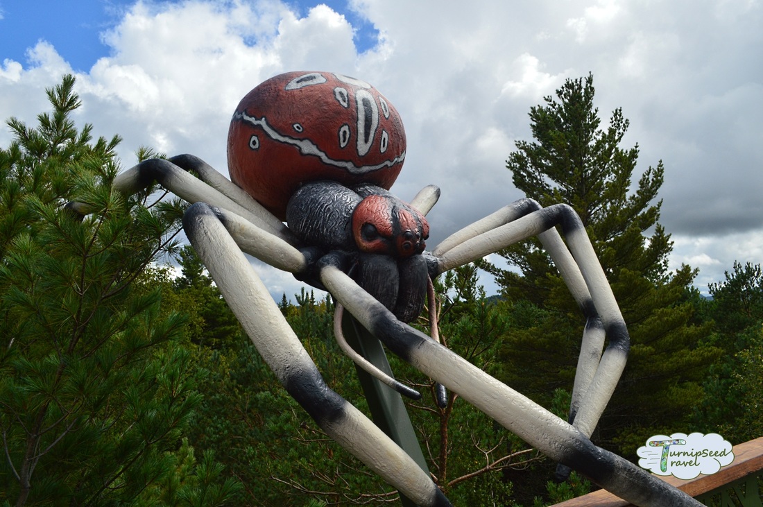 Spider Web The Wild Walk Adirondacks 