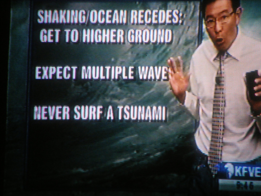 Tsunami Surfing Hawaii www.turnipseedtravel.com