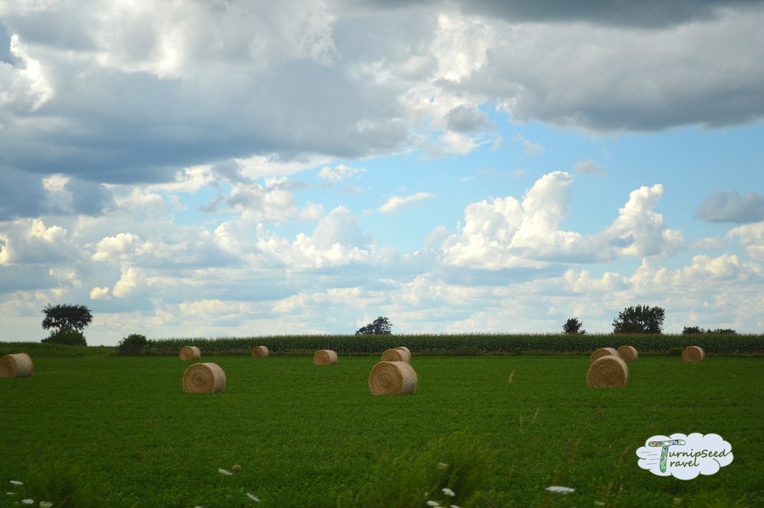 Hay bales Oxford County Ontario