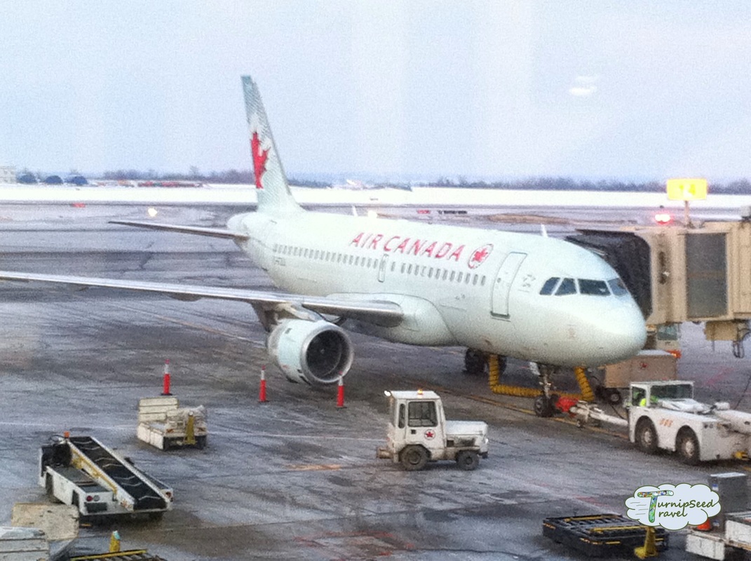 Image of an Air Canada plane waiting at the airport on a snowy day. Flying to Newfoundland or take the ferry. Picture of an Air Canada plane