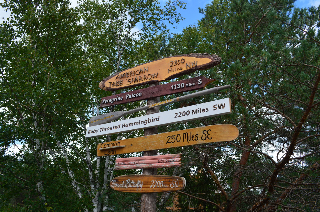 Sign post at the Wild Center in the Adirondacks