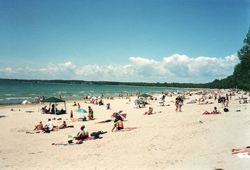 Crowded sandy beach Picture