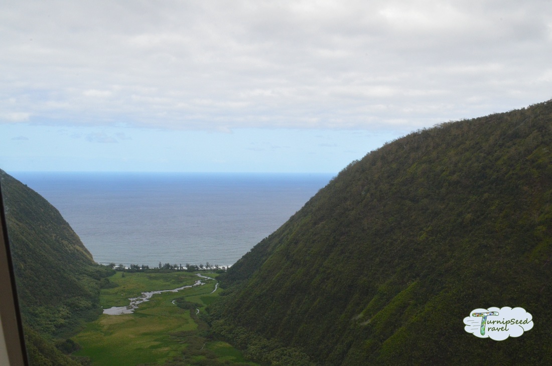Scenery of Hawaiian cliffs Picture