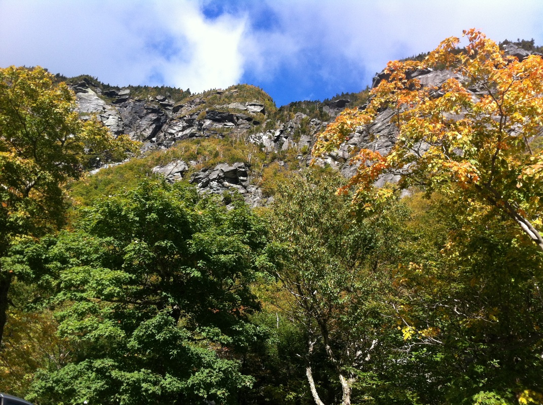 Rocky escarpment in Vermont in fall Picture