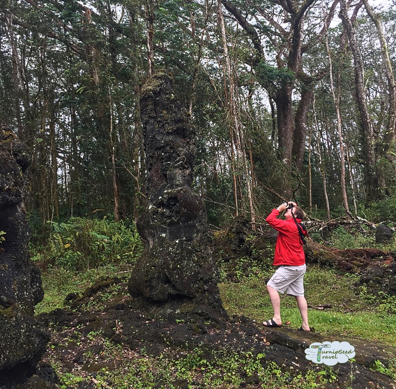 Lava Tree State Monument Hawaii