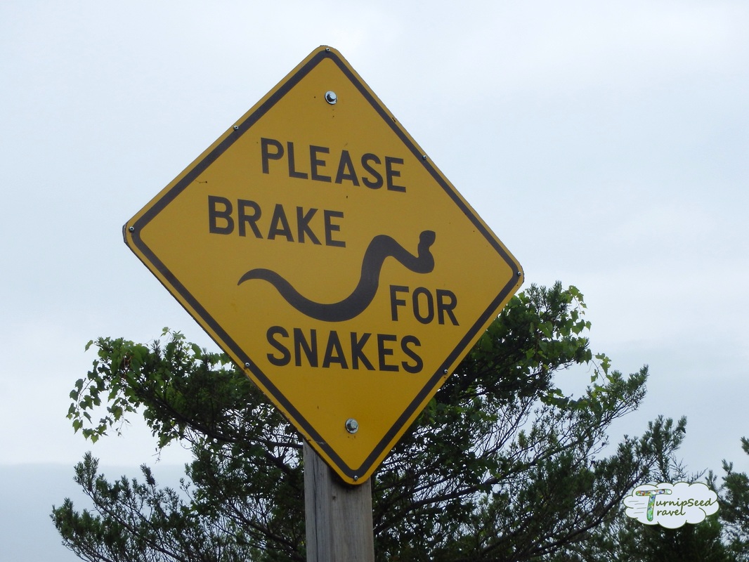 Sign about snakes at Long Point Provincial ParkPicture