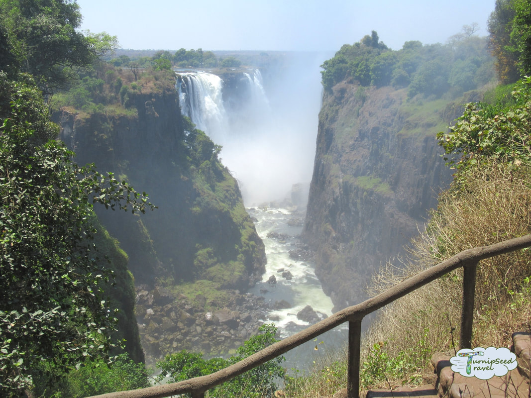 Victoria Falls in the background, with lots of mist, and green covered cliffs in the foreground