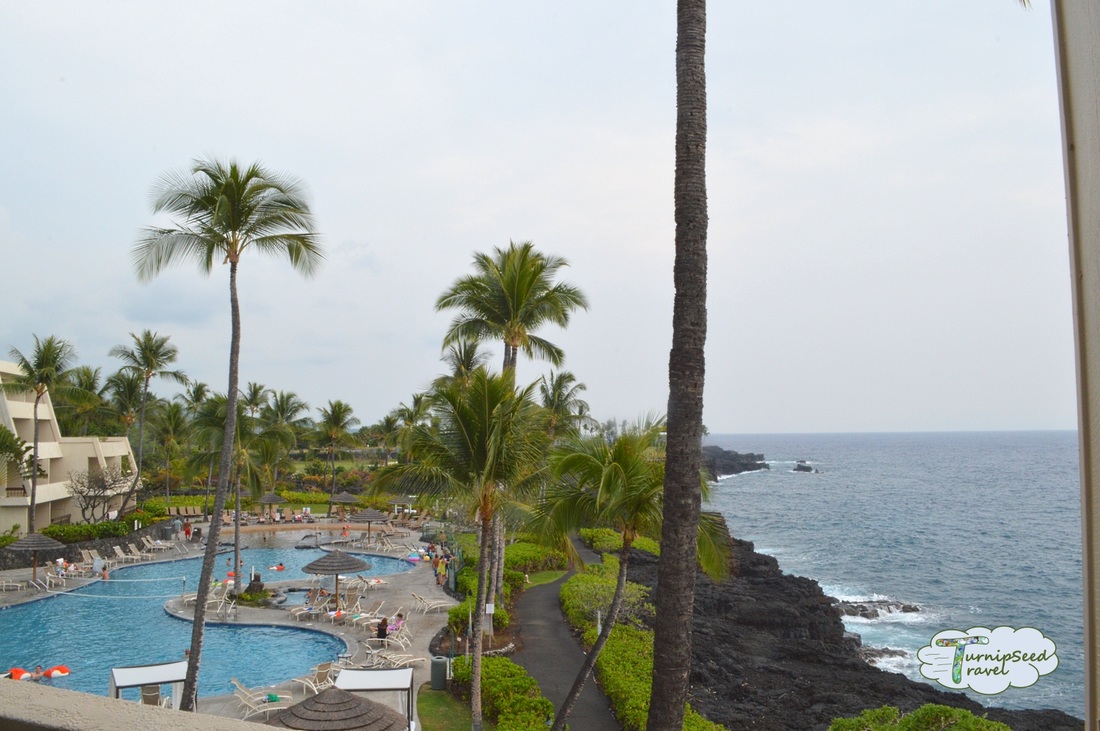 Ocean side hotel pool Picture
