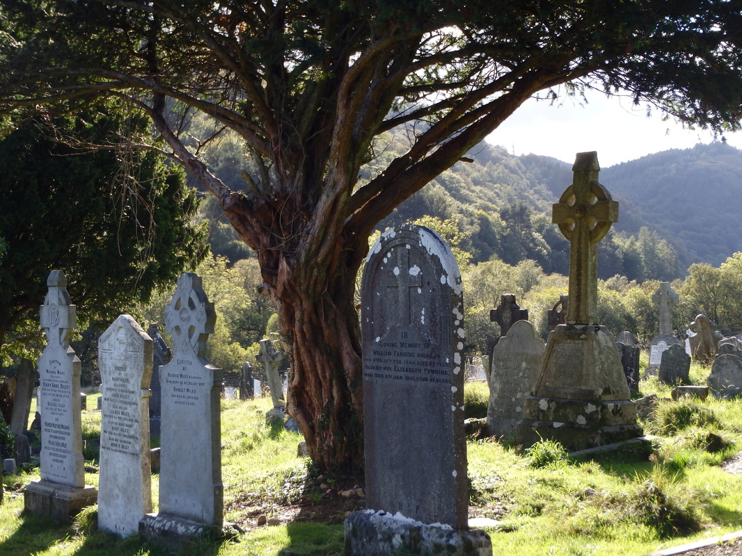 Glendalough Cemetery in Ireland's Wicklow Mountains