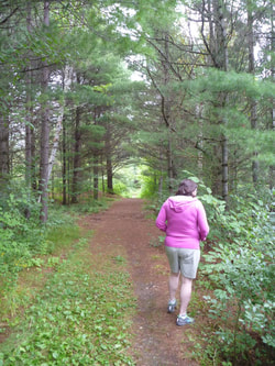 Hiking Algonquin Park Jack Pine trail