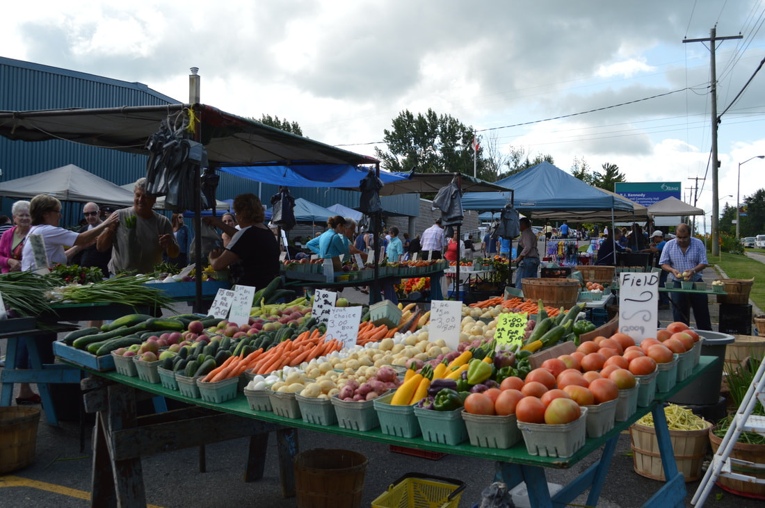 Outdoor produce stand Cozy microadventures for Ottawa travellers by TurnipseedTravel.com