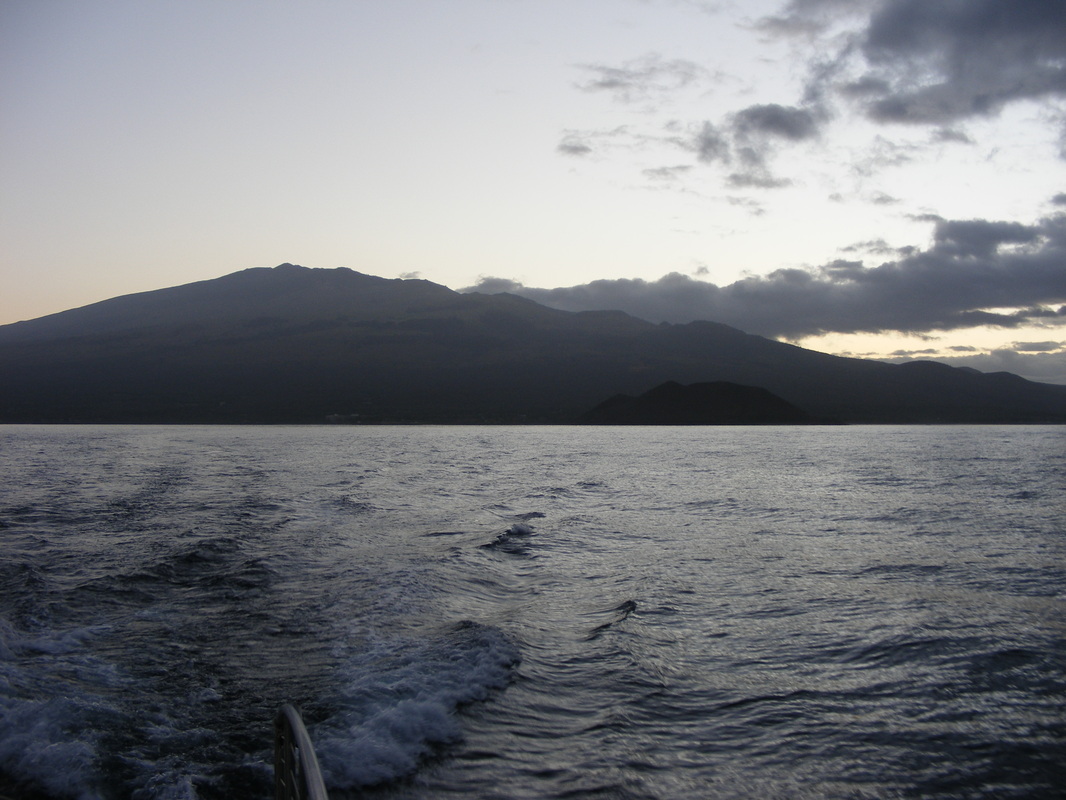 Ocean coast of Maui at dawn Picture