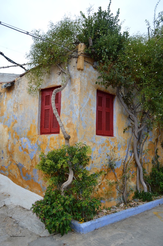 Vines and trees cover a house in Plaka, Athens 
